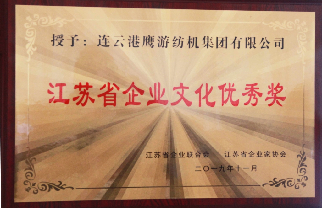 江苏省加拿大28文化优秀奖